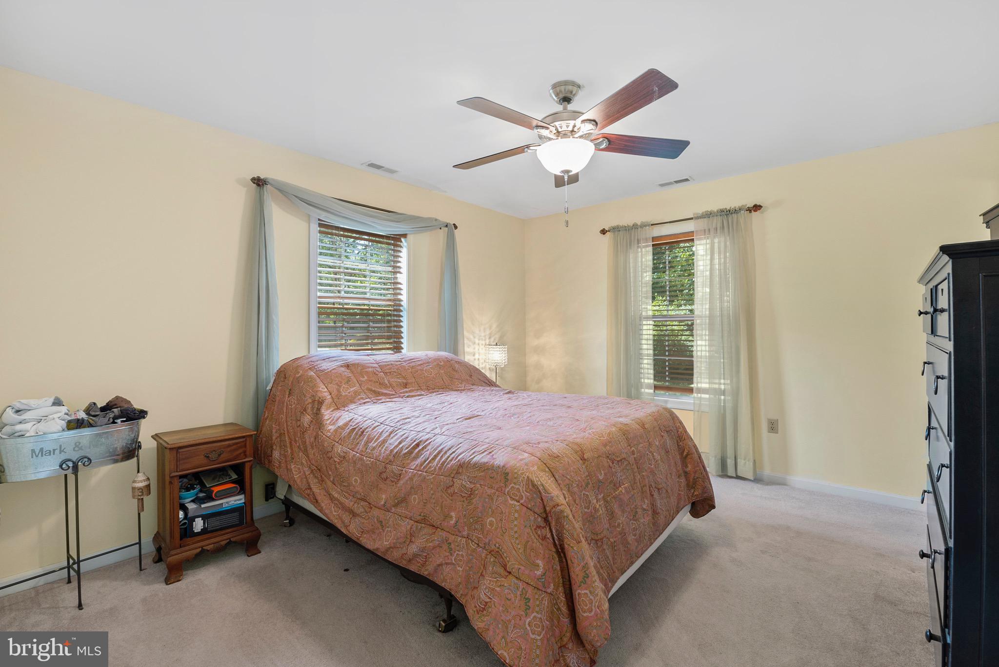 10620 Colfax Road Chestertown, MD 21620 - Photo 11 of 20 Master Bedroom