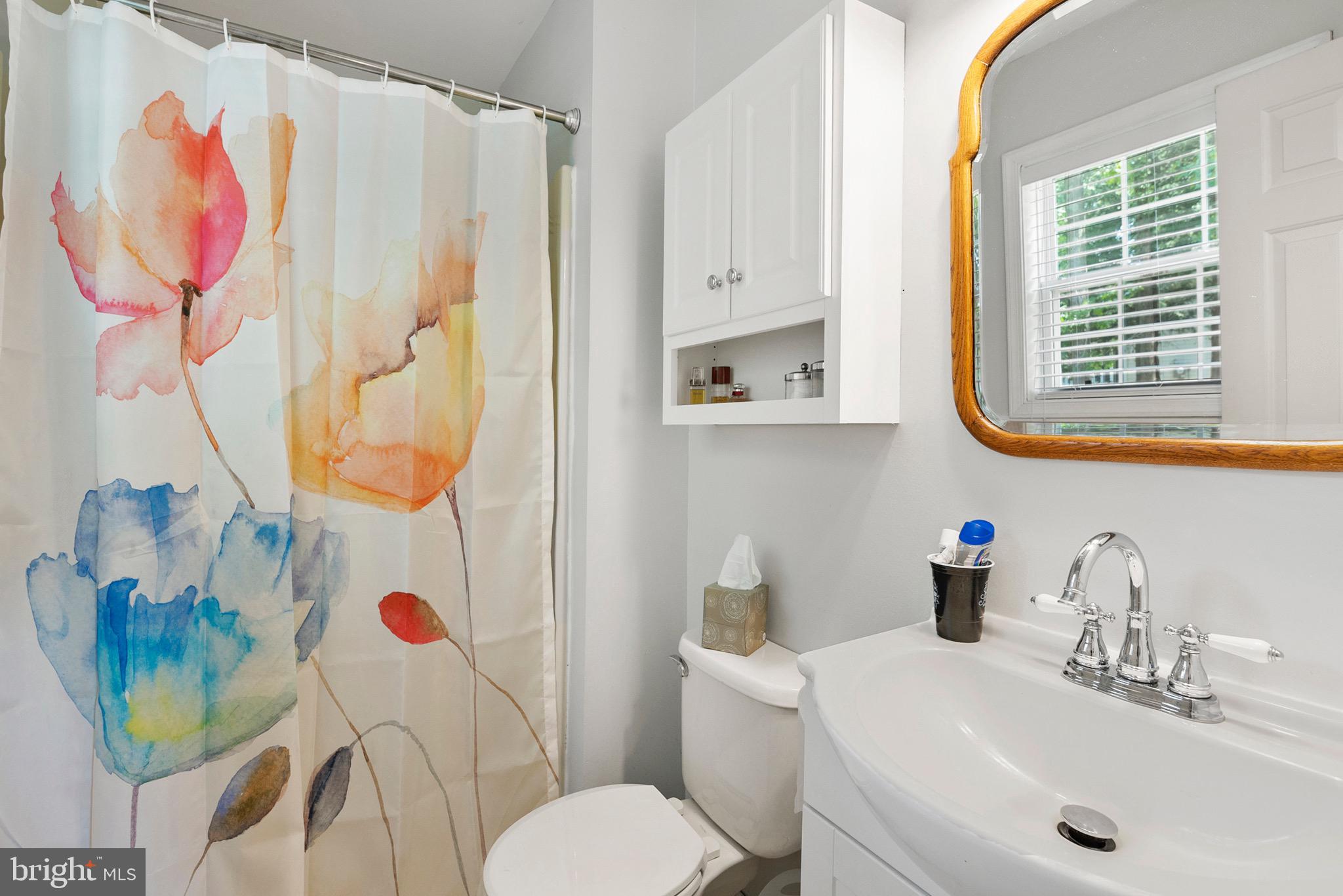 10620 Colfax Road Chestertown, MD 21620 - Photo 12 of 20 Master Bath
