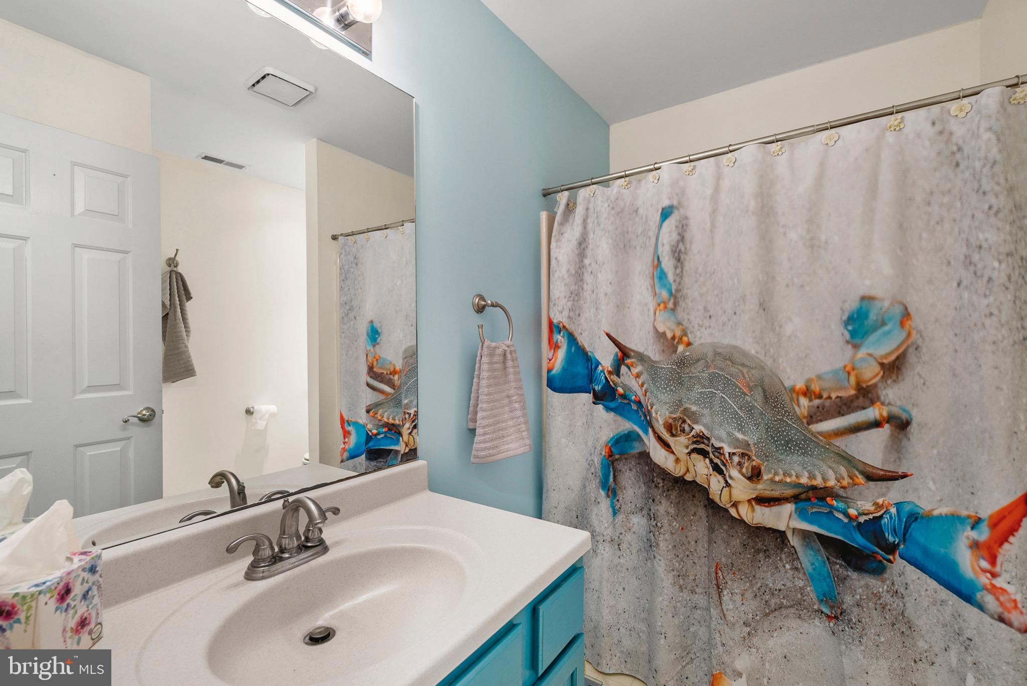 10620 Colfax Road Chestertown, MD 21620 - Photo 17 of 20 Second Bathroom