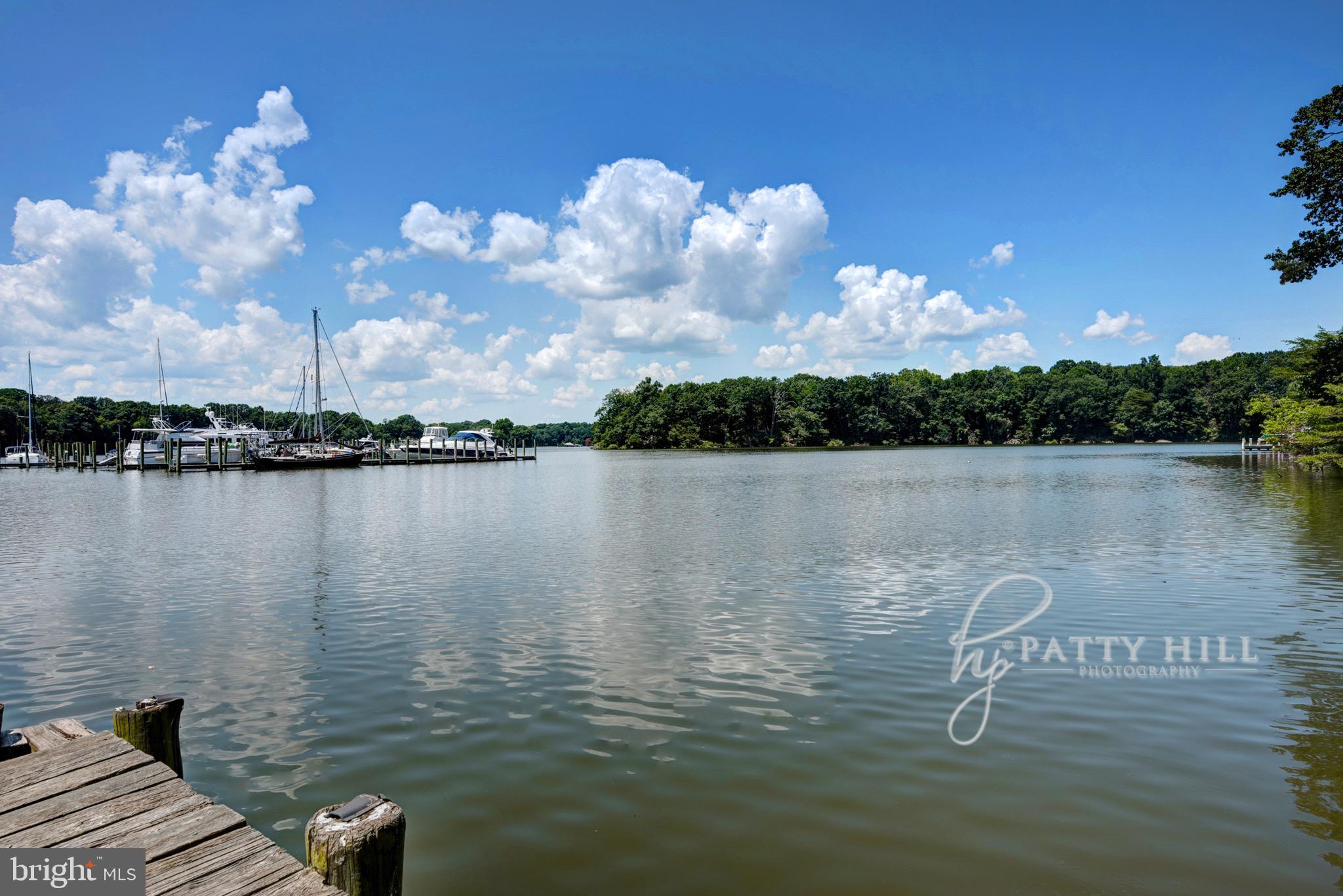 10620 Colfax Road Chestertown, MD 21620 - Photo 19 of 20 Community Dock & Boat Launch
