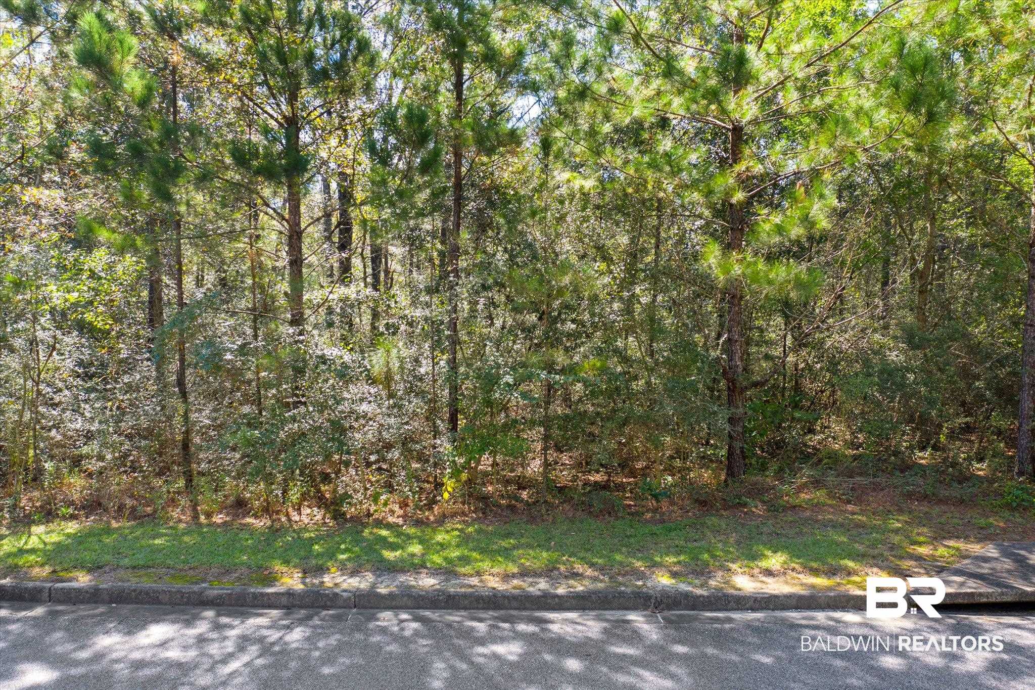 3376 Rue Bienville Mobile, AL 36693 - Photo 4 of 12