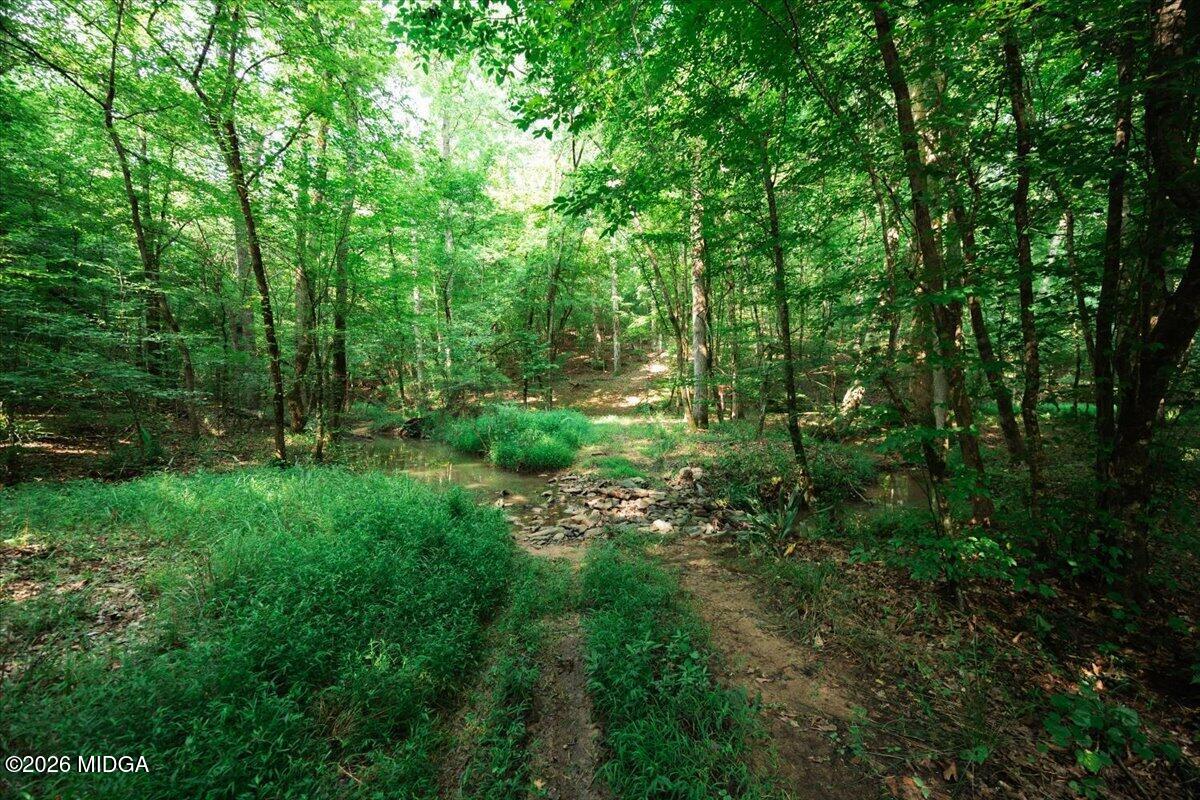252 Rum Creek Road Juliette, GA 31046 - Photo 39 of 72 15-5W7A1579