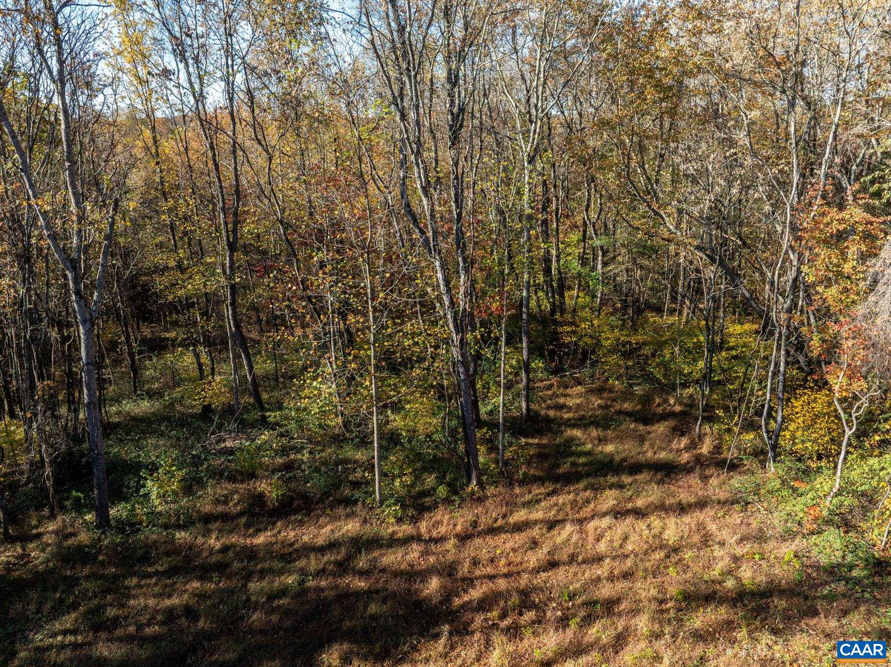 0 Shelby Road Madison, VA 22727 - Photo 11 of 20 a view of a yard with large trees