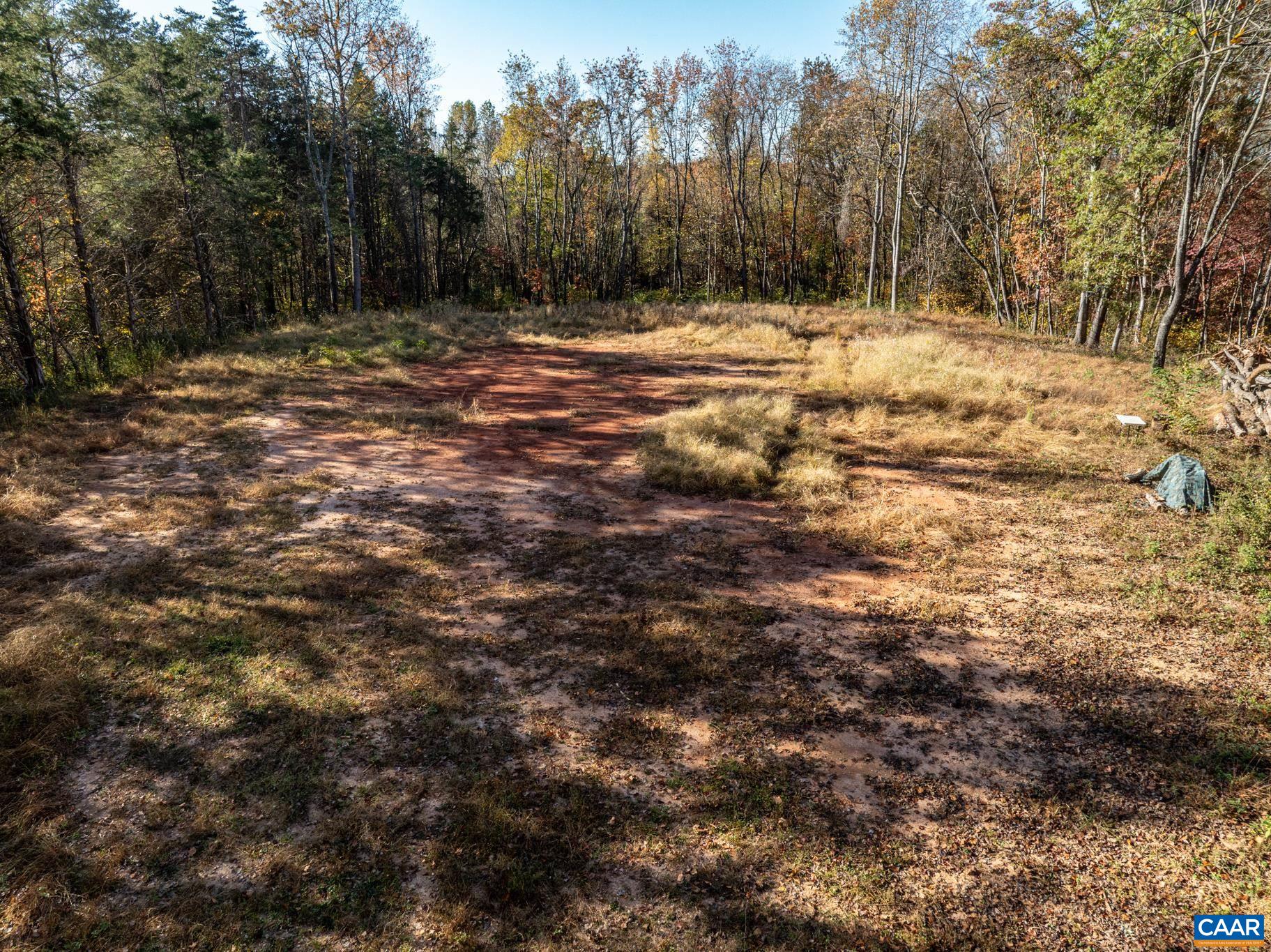 0 Shelby Road Madison, VA 22727 - Photo 12 of 20 a view of a yard with trees