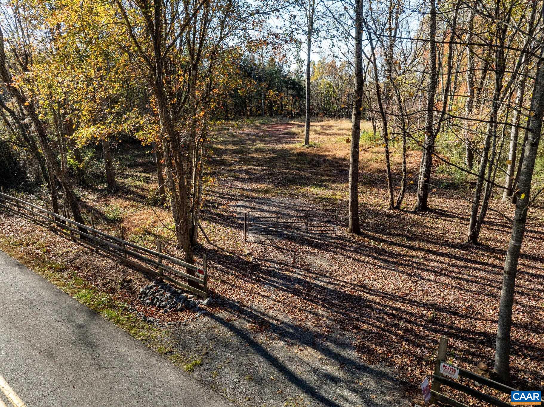 0 Shelby Road Madison, VA 22727 - Photo 14 of 20 a view of a yard with large trees