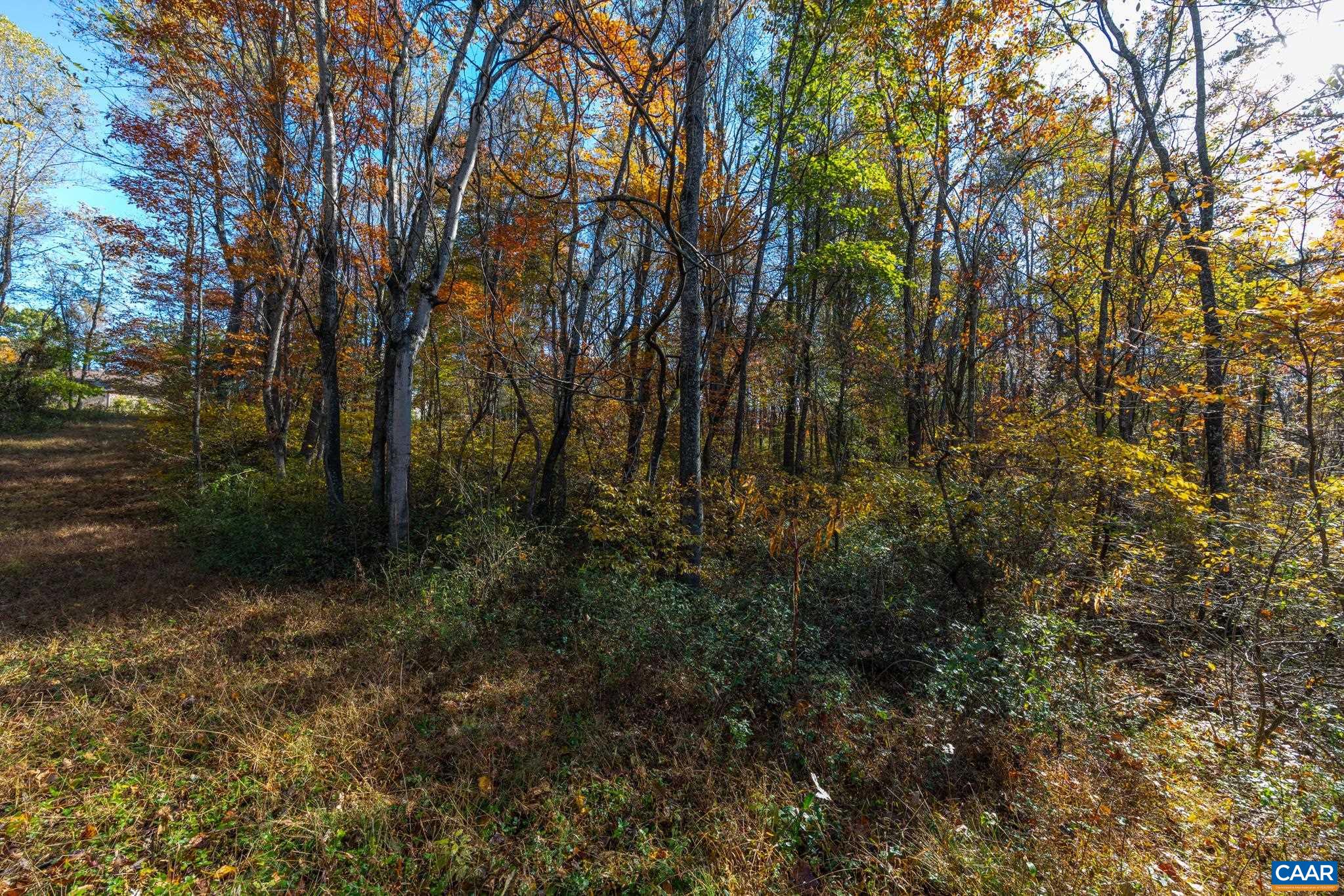 0 Shelby Road Madison, VA 22727 - Photo 17 of 20 a view of outdoor space and trees