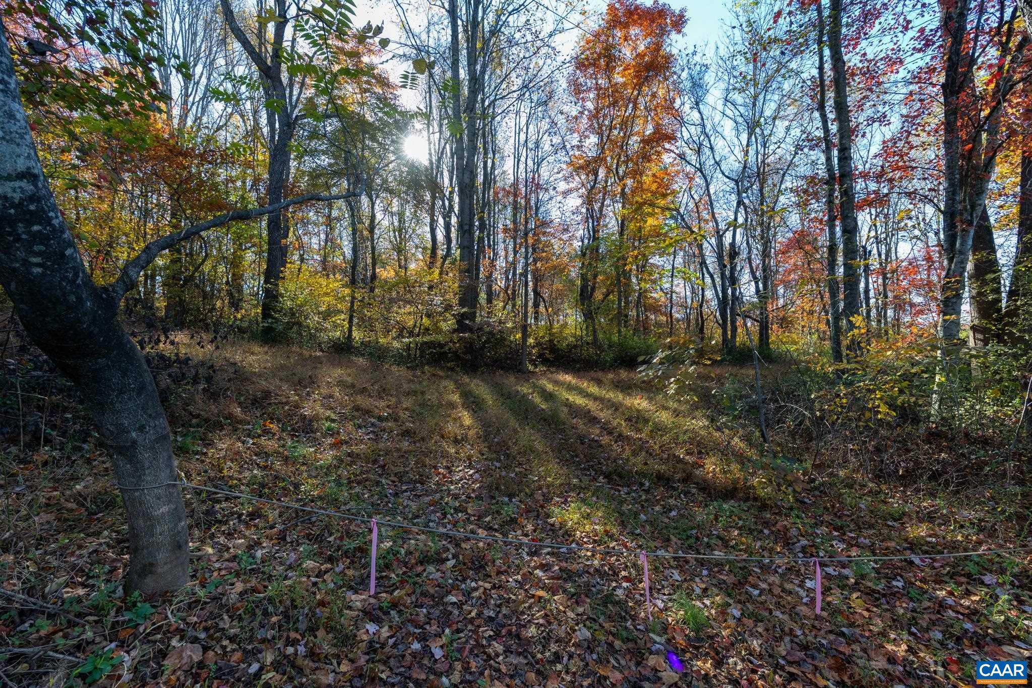 0 Shelby Road Madison, VA 22727 - Photo 18 of 20 a view of a yard with trees