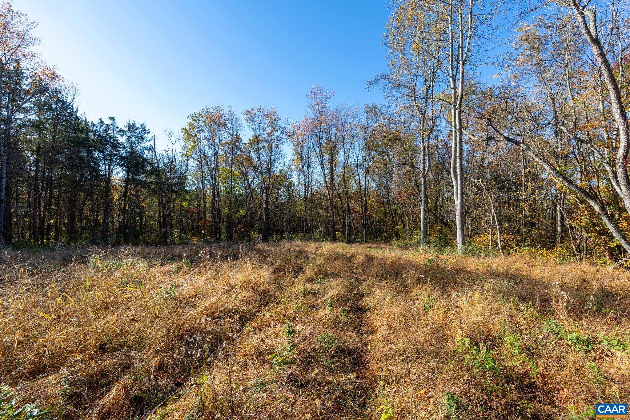 0 Shelby Road Madison, VA 22727 - Photo 7 of 20 a view of a yard with trees