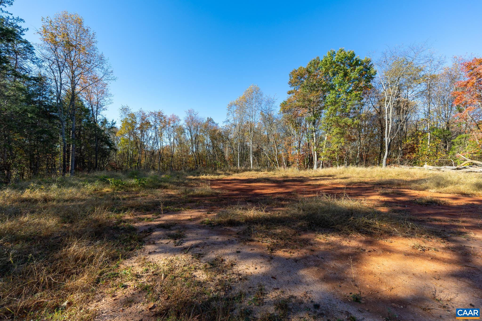 0 Shelby Road Madison, VA 22727 - Photo 8 of 20 a view of dirt yard with a large tree