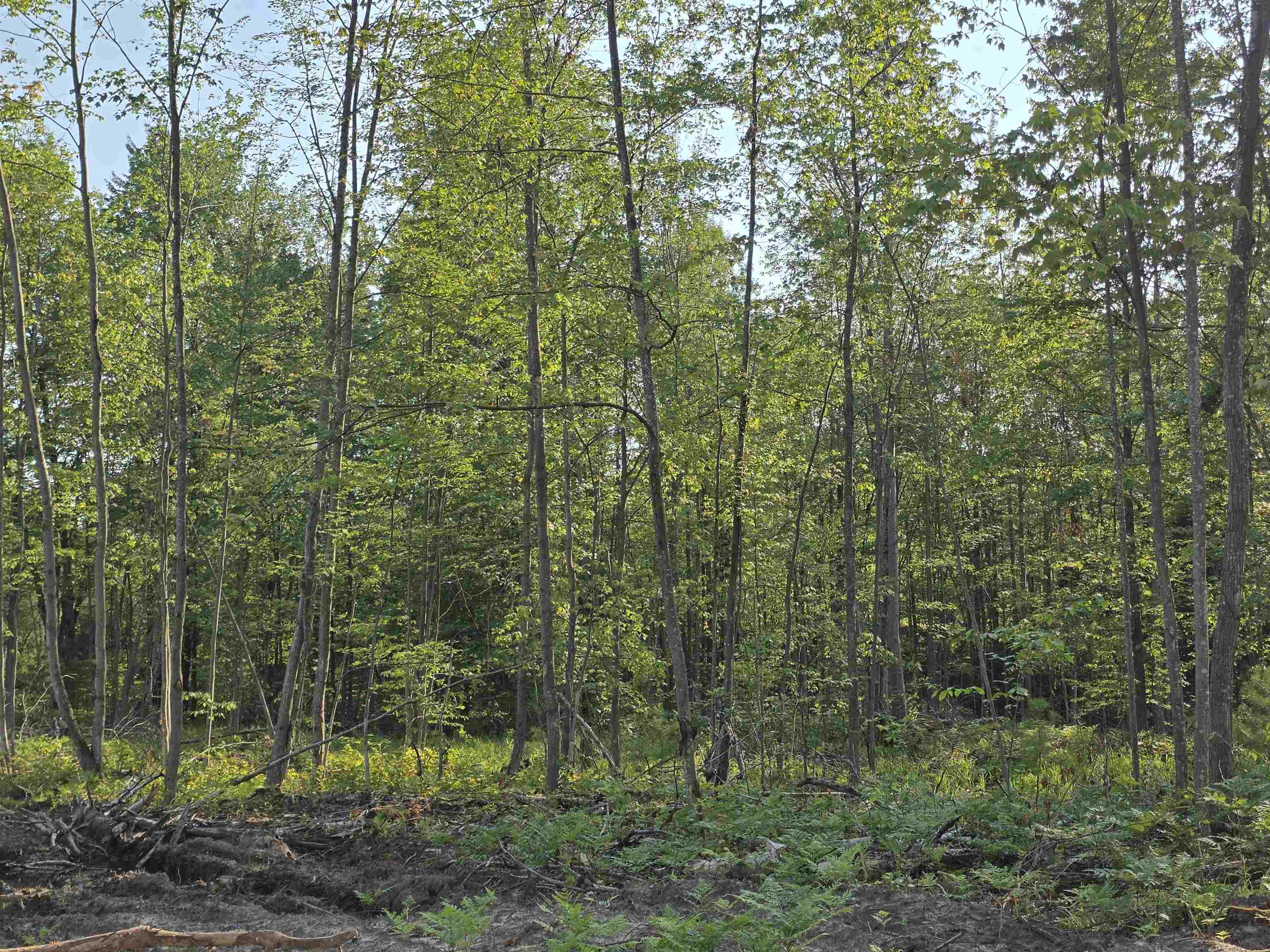 0 Arnold Road Manton, MI 49663 - Photo 40 of 63