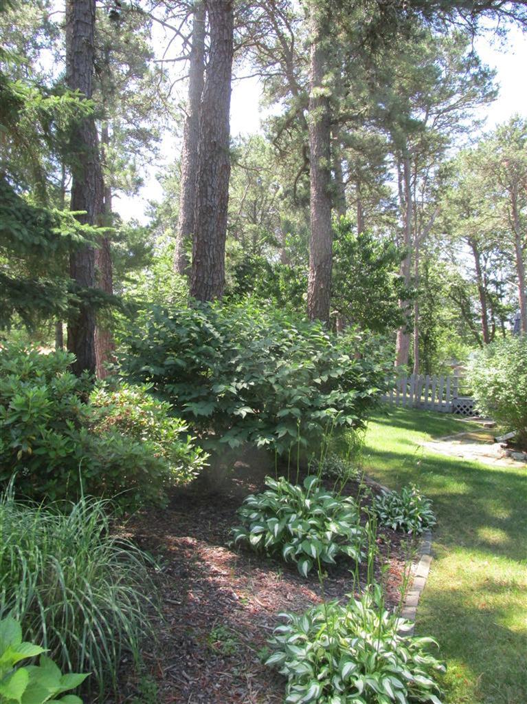 6 Edward Kelly Road East Sandwich, MA 02537 - Photo 6 of 32 Additional Photo