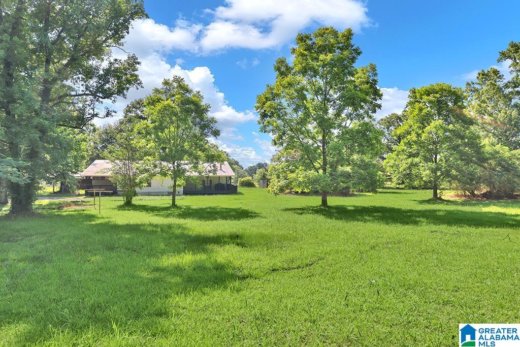 5965 Thornton Lake Road Dora, AL 35062 - Photo 25 of 29
