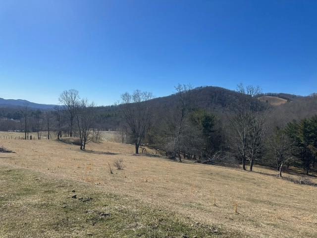 Tbd Flat Ridge Road, Unit 31A67 Mouth Of Wilson, VA 24363 - Photo 15 of 27 Gallery Image 15