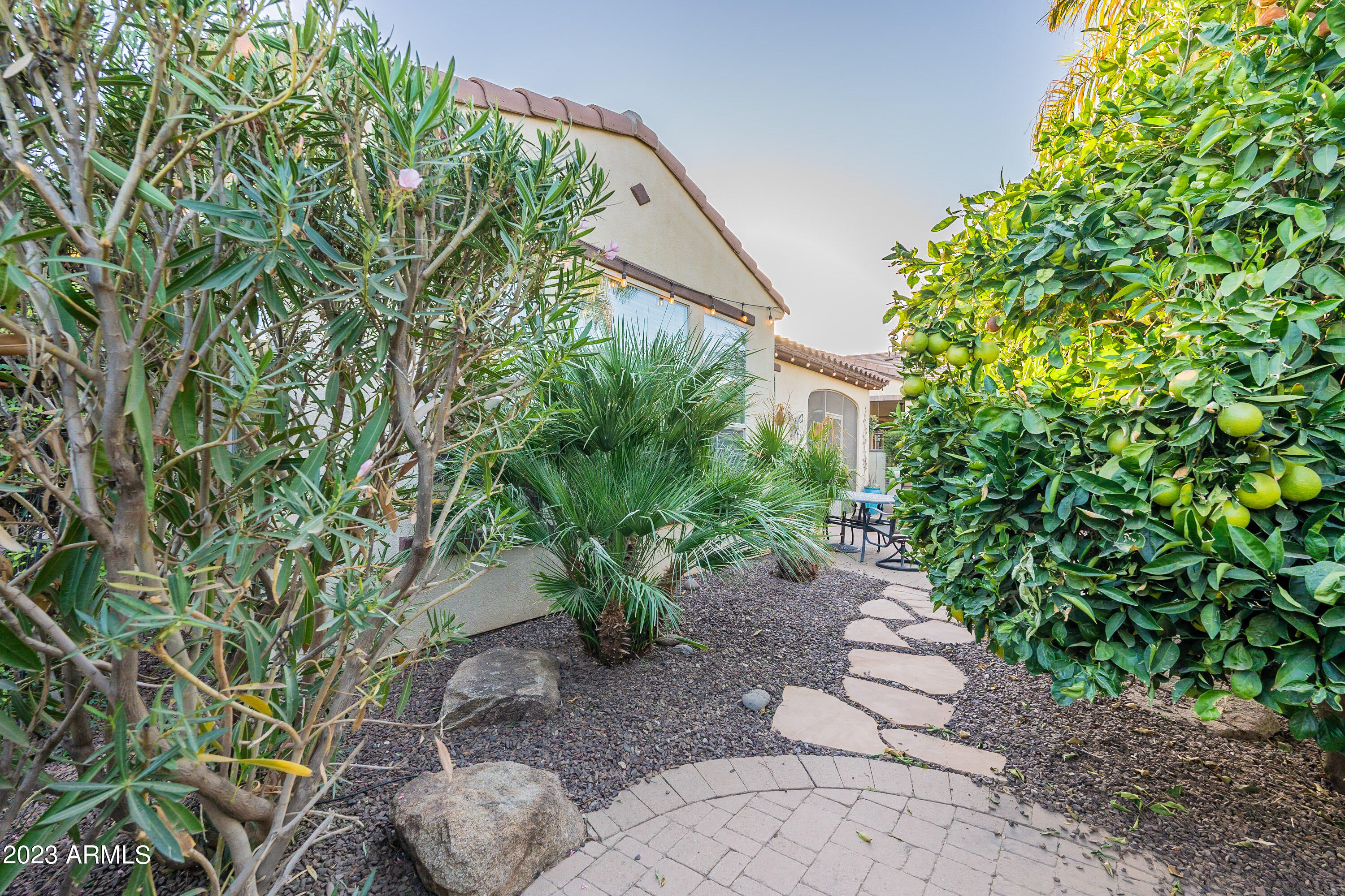 1678 East Grand Ridge Road San Tan Valley, AZ 85140 - Photo 47 of 76 Grand-HD-54