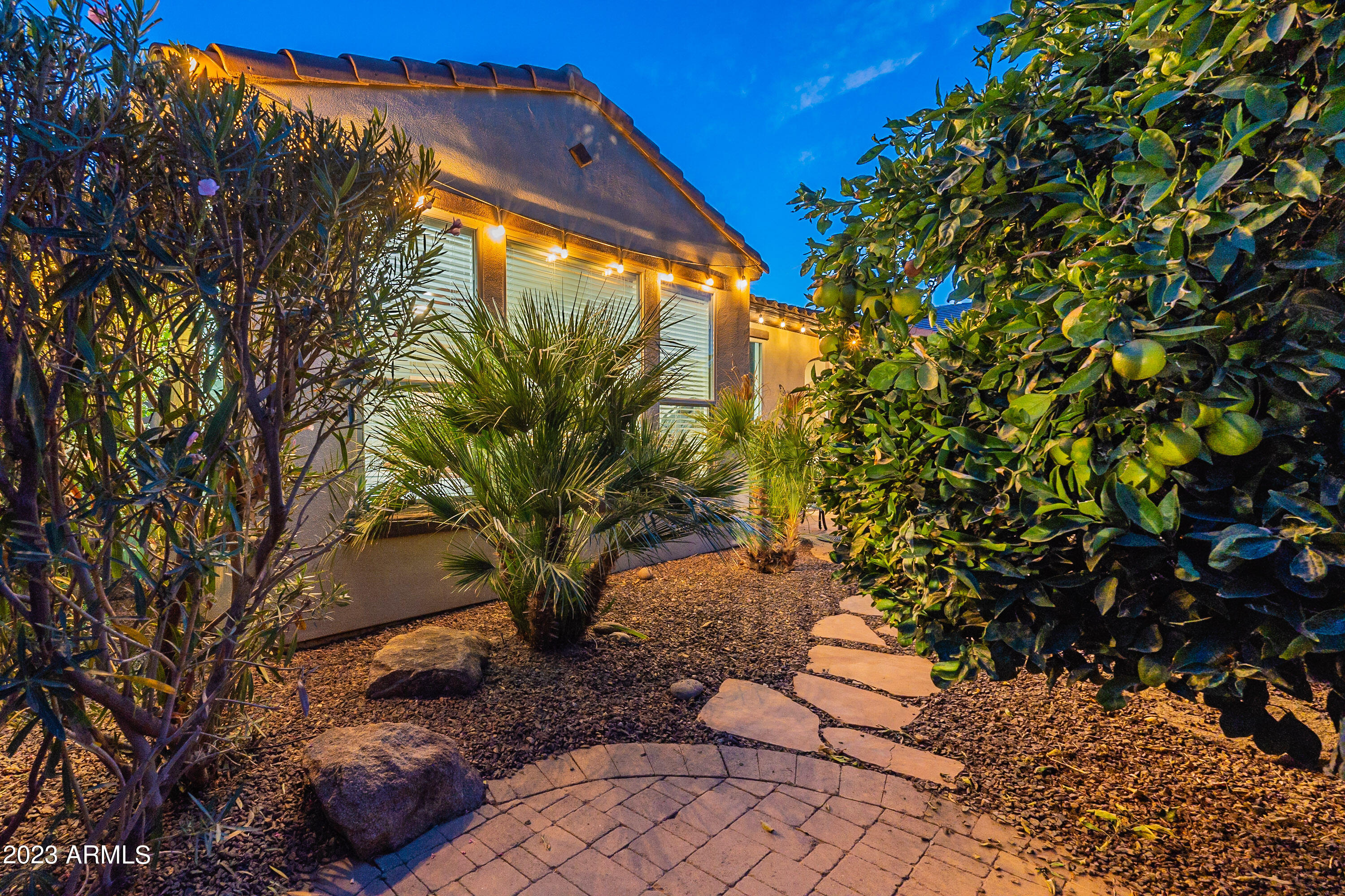1678 East Grand Ridge Road San Tan Valley, AZ 85140 - Photo 70 of 76 Grand-Twilight HD-22