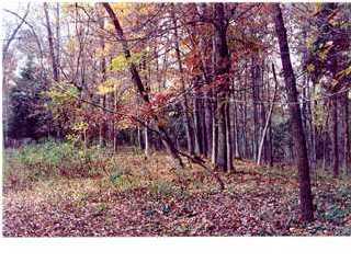 Primary Photo