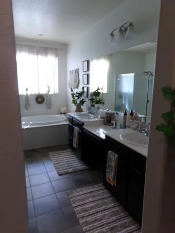 a bathroom with a double vanity sink a bathtub and a mirror