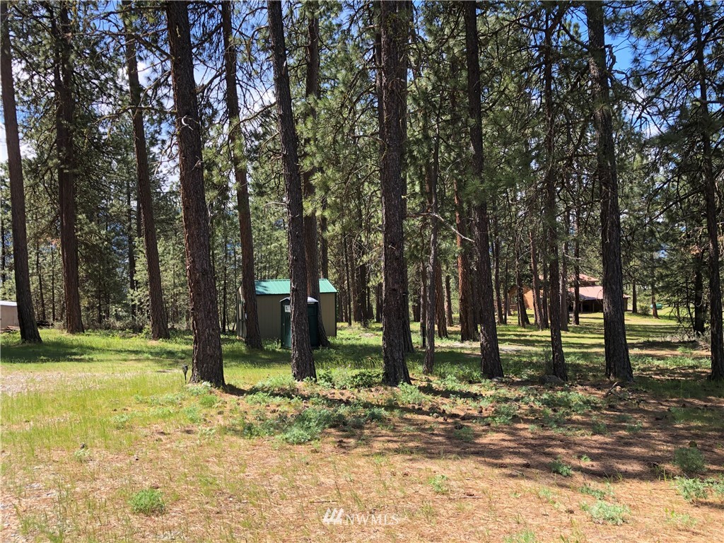 280 Powerline Road Cle Elum, WA 98922 - Photo 2 of 7 Gallery Image 2