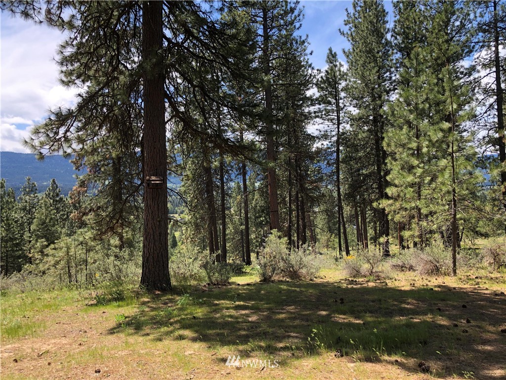 280 Powerline Road Cle Elum, WA 98922 - Photo 3 of 7 Gallery Image 3
