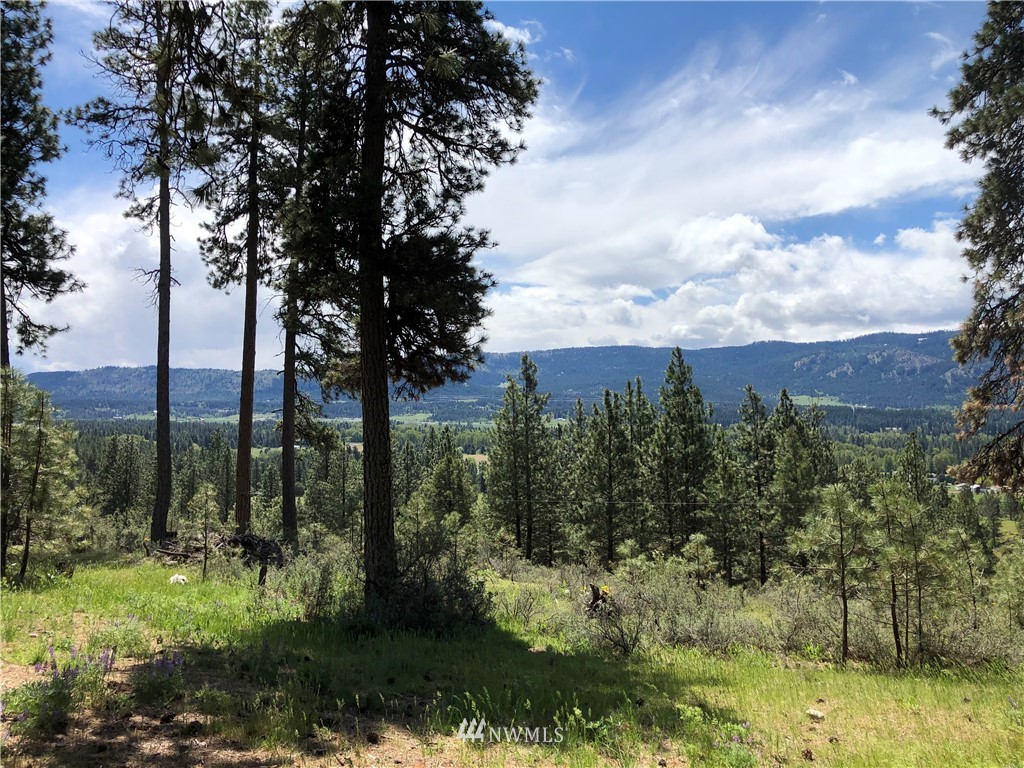 280 Powerline Road Cle Elum, WA 98922 - Photo 4 of 7 Gallery Image 4