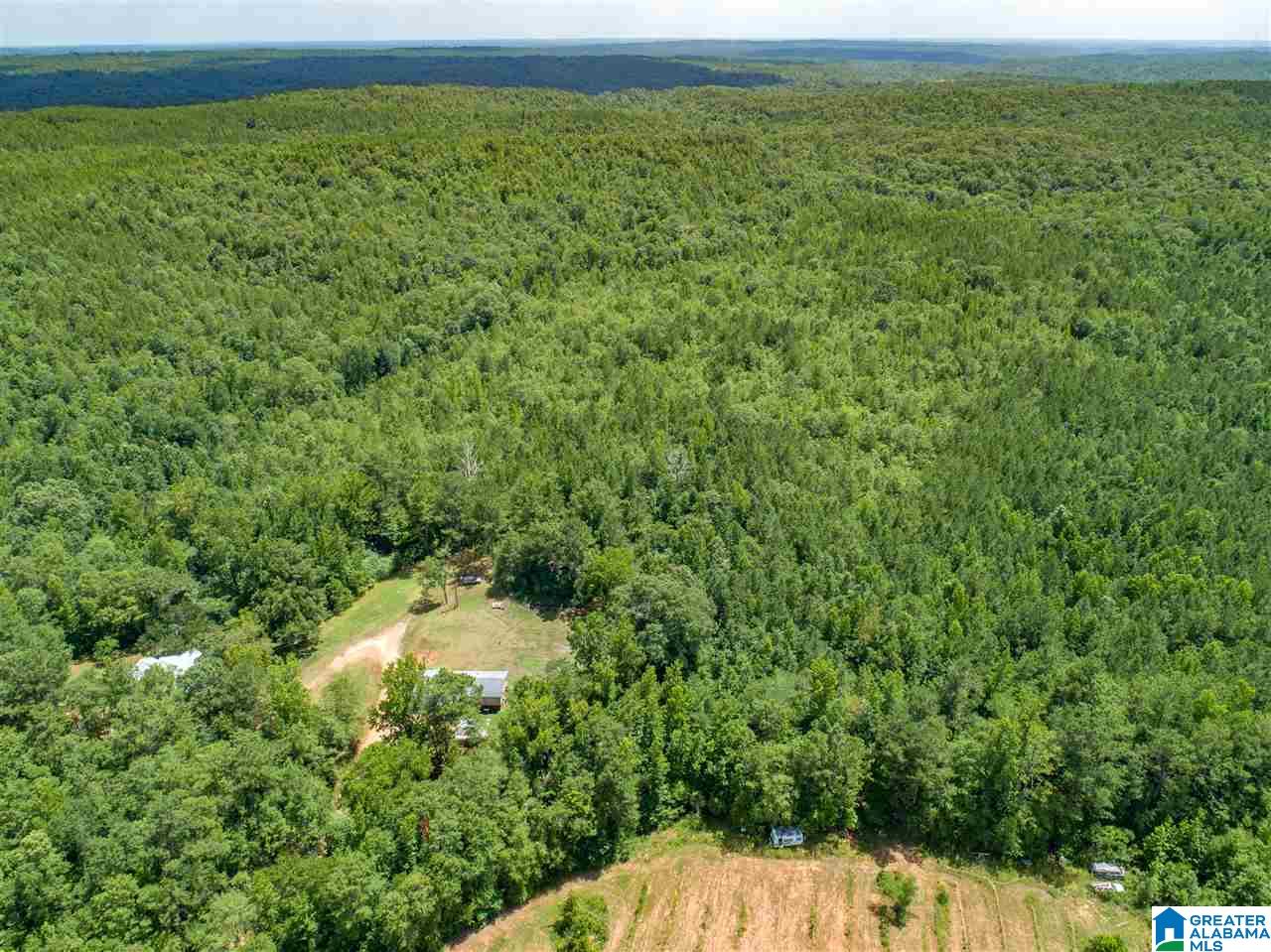 Broken Arrow Road Goodwater, AL 35072 - Photo 11 of 28