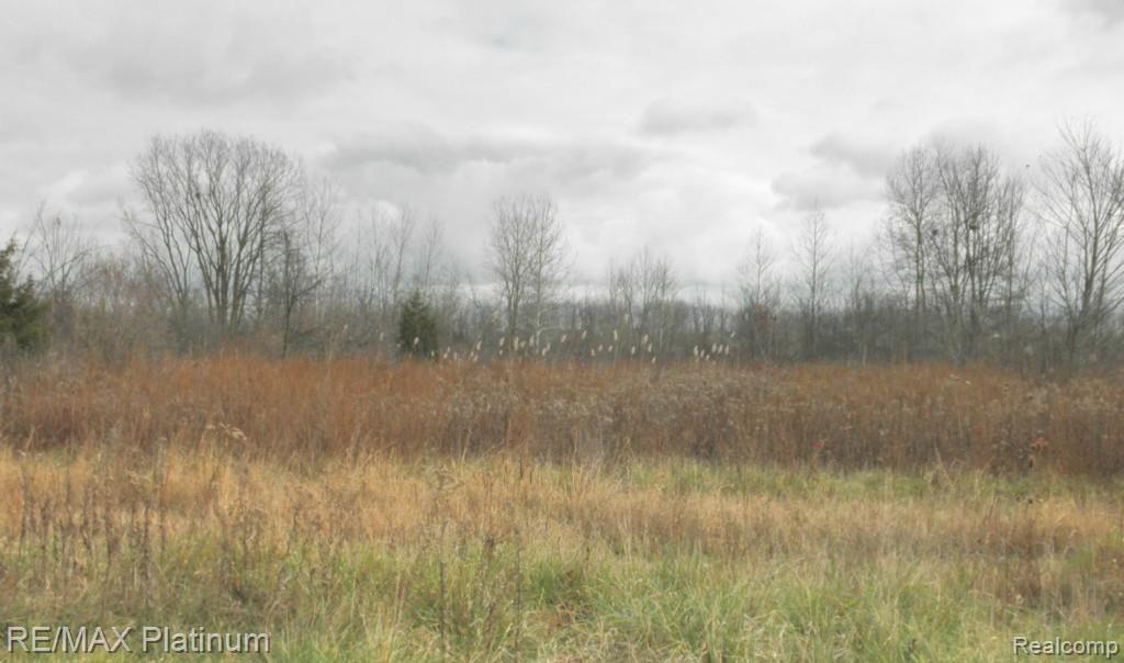 Vac Denton Road Canton, MI 48188 - Photo 1 of 4