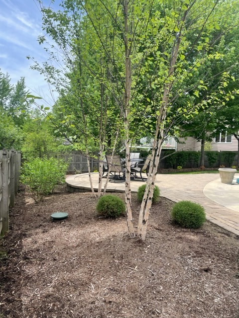 912 West Bailey Road Naperville, IL 60565 - Photo 11 of 16 a view of a backyard with table and chairs