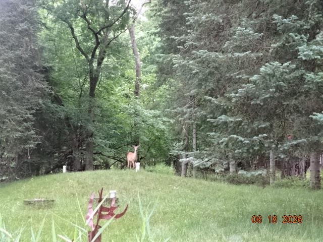 2635 North Lakeview Montello, WI 53949 - Photo 4 of 15