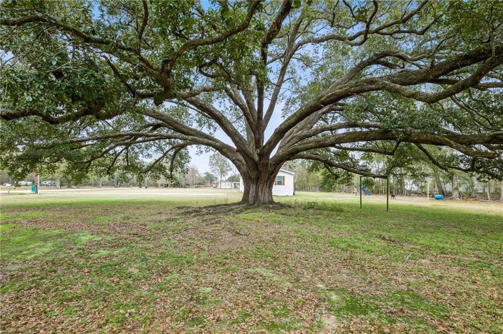 19302 Robert Road Hammond, LA 70401 - Photo 3 of 13