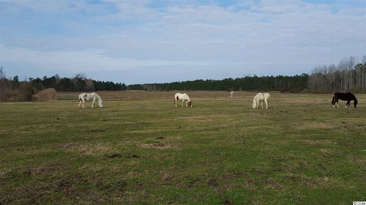 589 Lambert Road Conway, SC 29526 - Photo 2 of 7 Gallery Image 2