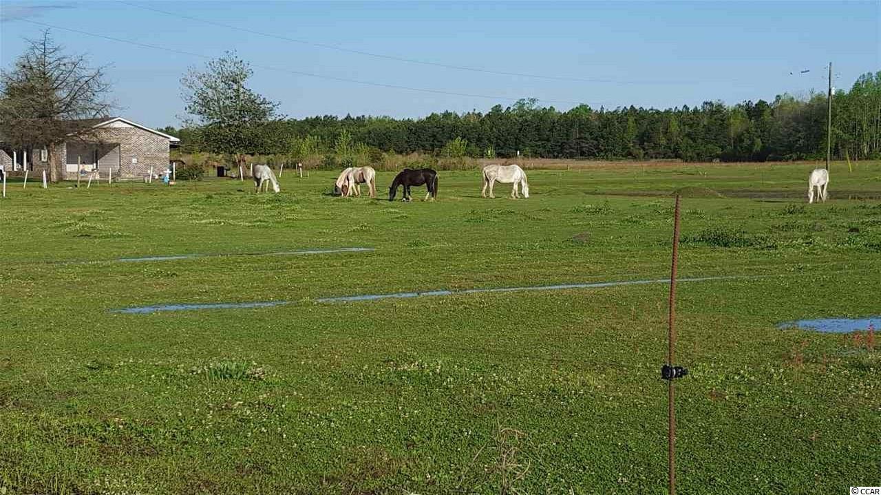 589 Lambert Road Conway, SC 29526 - Photo 7 of 7 Gallery Image 7