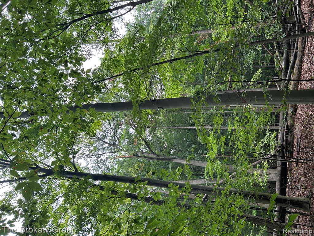 0 Welch Road Yale, MI 48097 - Photo 10 of 24