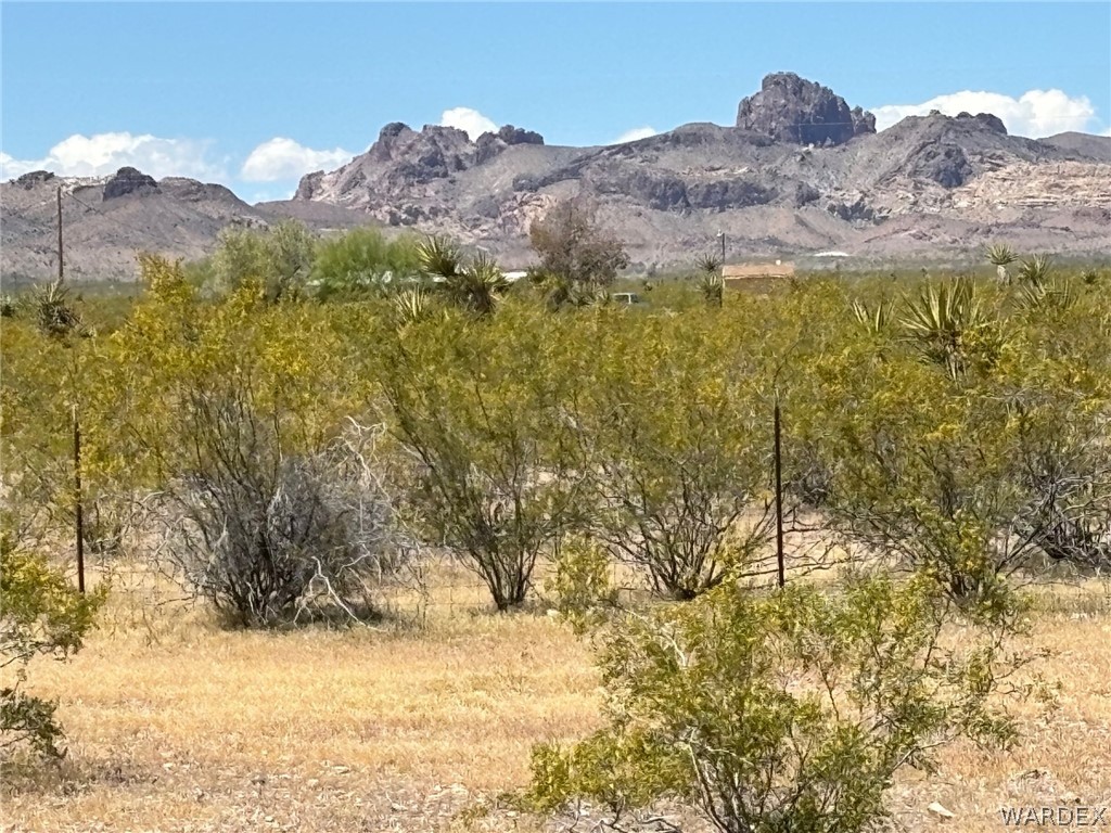 3565 Ehrenberg Road Golden Valley, AZ 86413 - Photo 61 of 63 a view of mountain view