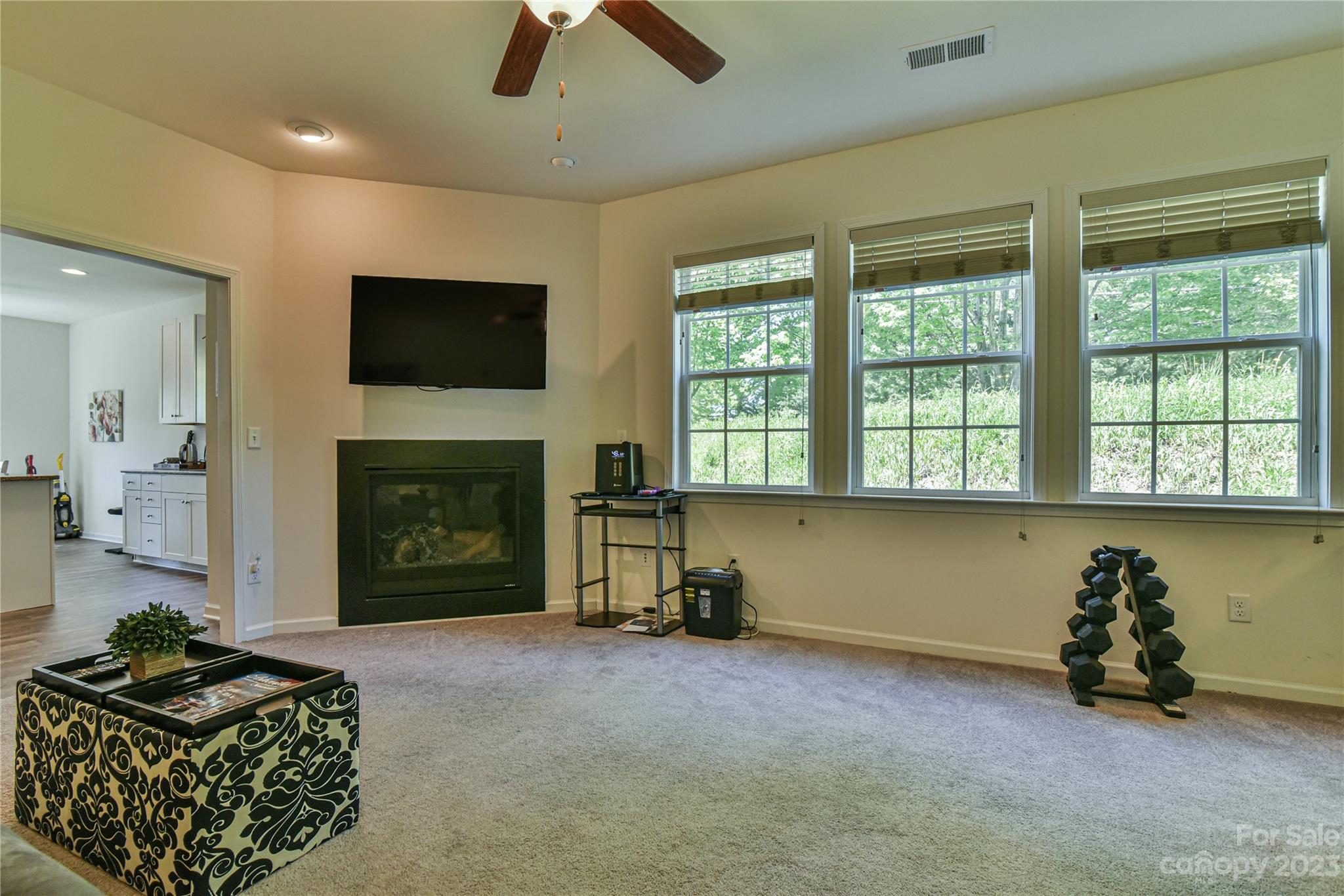 18 Yadkin Road Fletcher, NC 28732 - Photo 9 of 25 a living room with furniture a flat screen tv and a fireplace