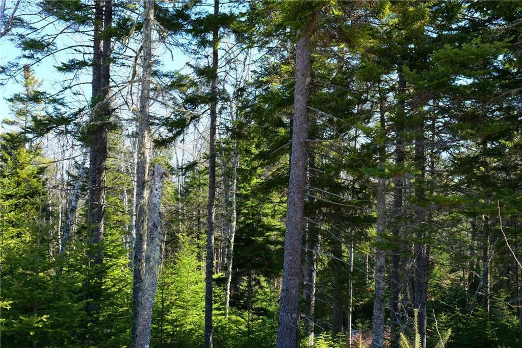 11 Bass Harbor Woods Road Bass Harbor, ME 04653 - Photo 6 of 8 Photo