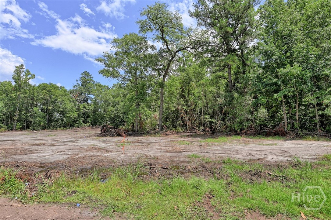 91 Huger Street Rincon, GA 31326 - Photo 25 of 36 Gallery Image 25