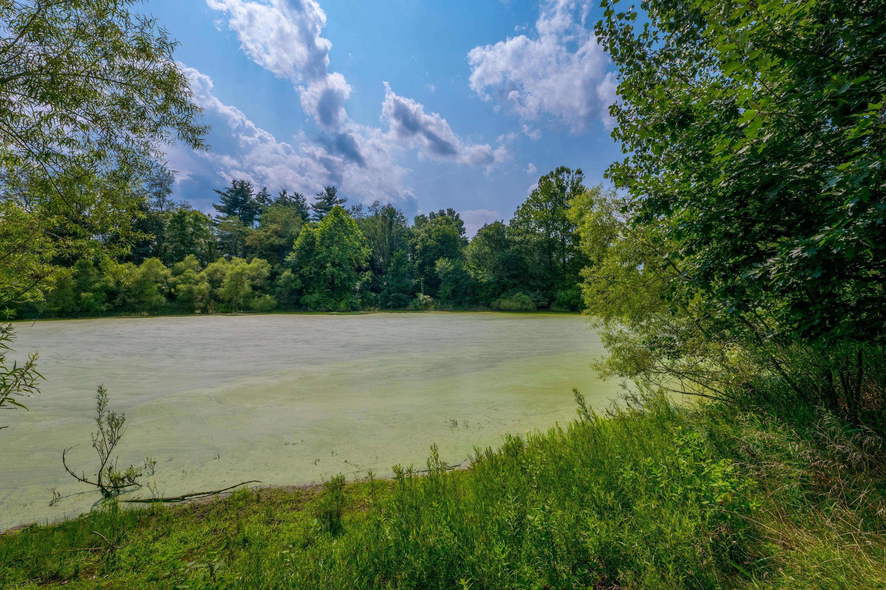 20790 Berry Road Mount Vernon, OH 43050 - Photo 107 of 126 Gallery Image 107