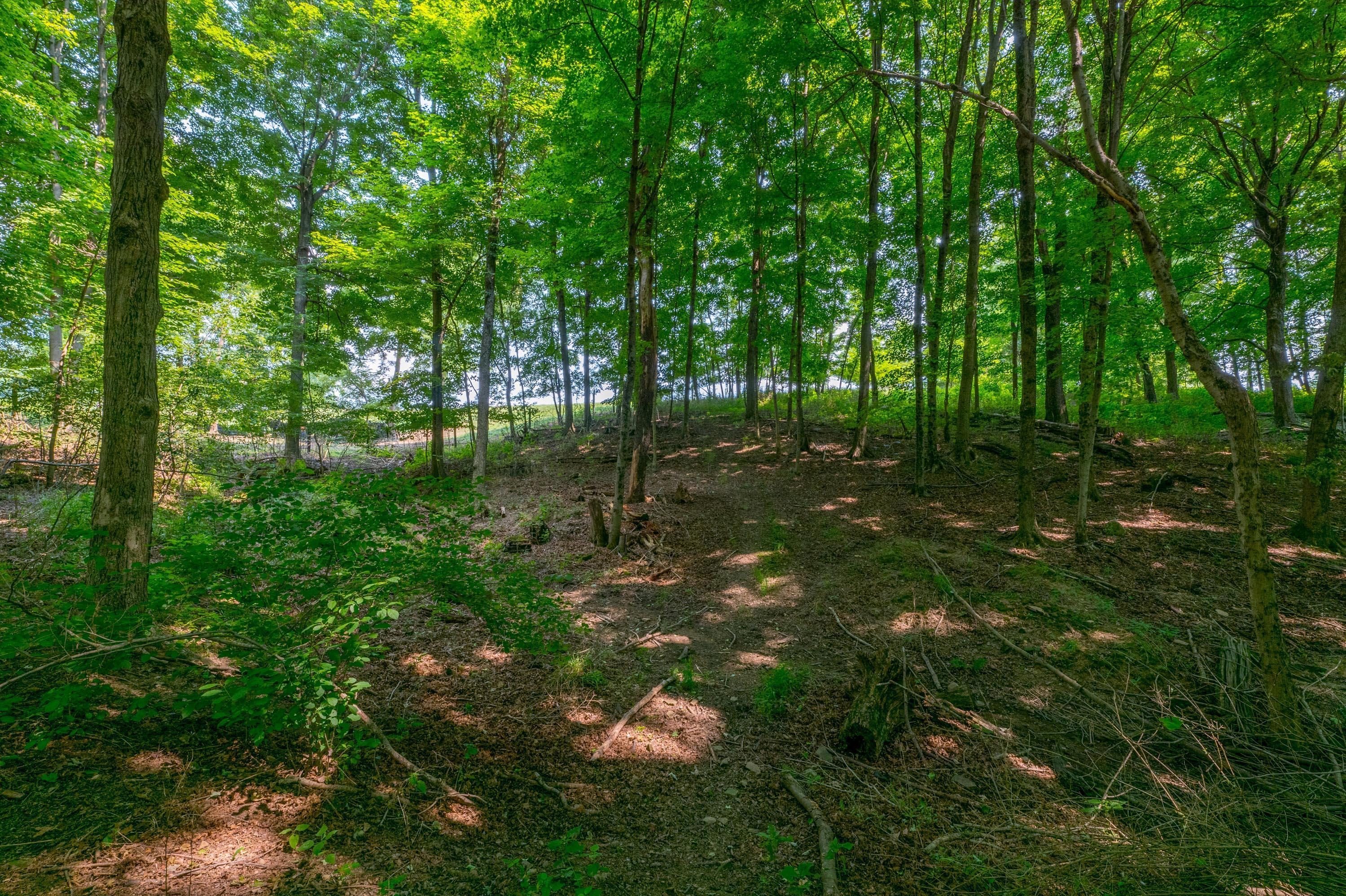 20790 Berry Road Mount Vernon, OH 43050 - Photo 109 of 126 Gallery Image 109