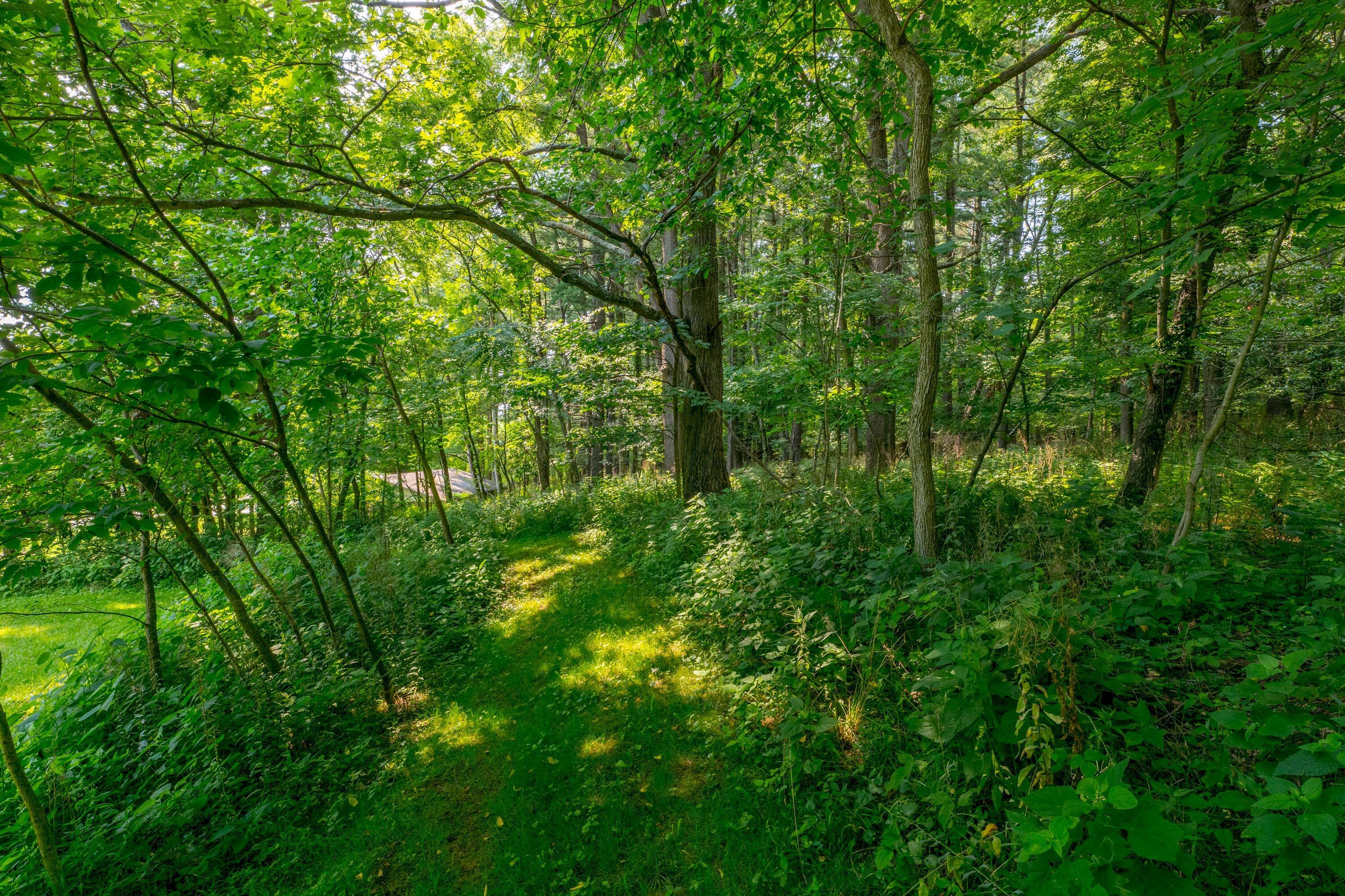 20790 Berry Road Mount Vernon, OH 43050 - Photo 113 of 126 Gallery Image 113