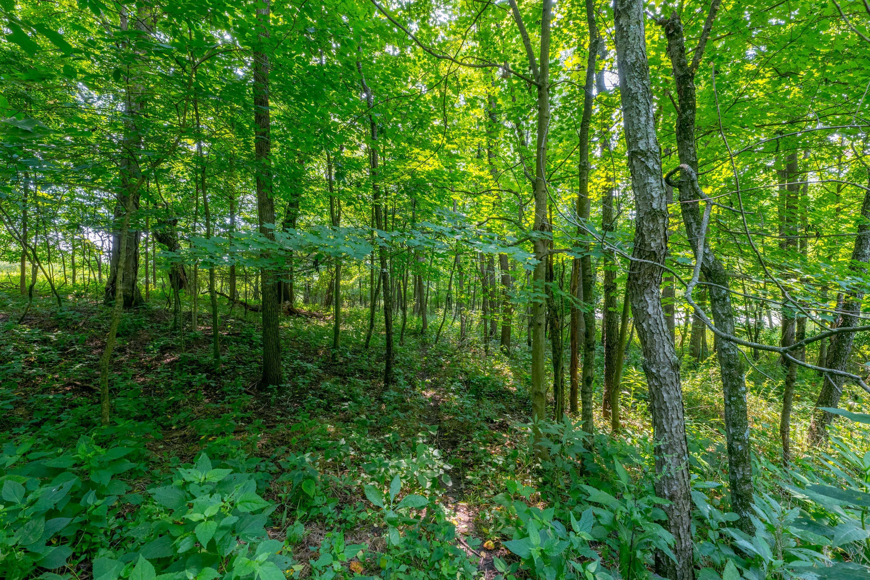 20790 Berry Road Mount Vernon, OH 43050 - Photo 85 of 126 Gallery Image 85