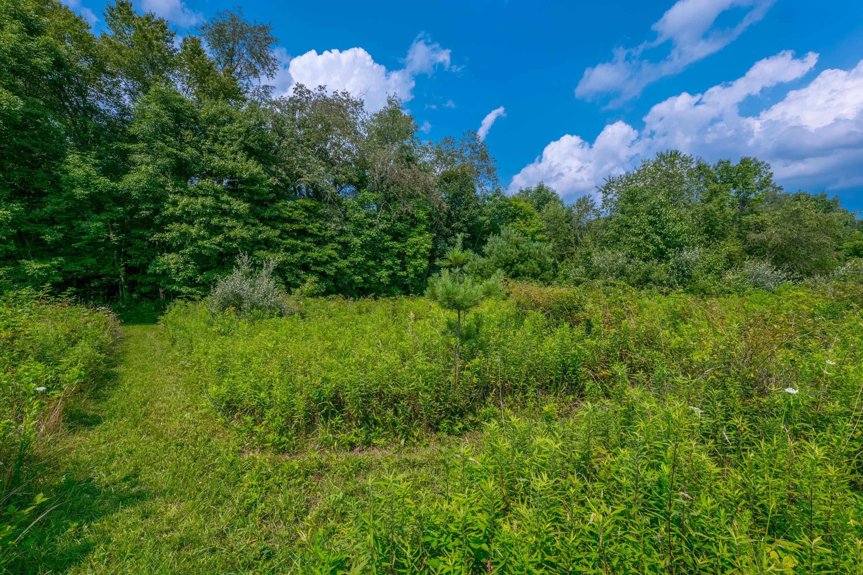 20790 Berry Road Mount Vernon, OH 43050 - Photo 91 of 126 Gallery Image 91