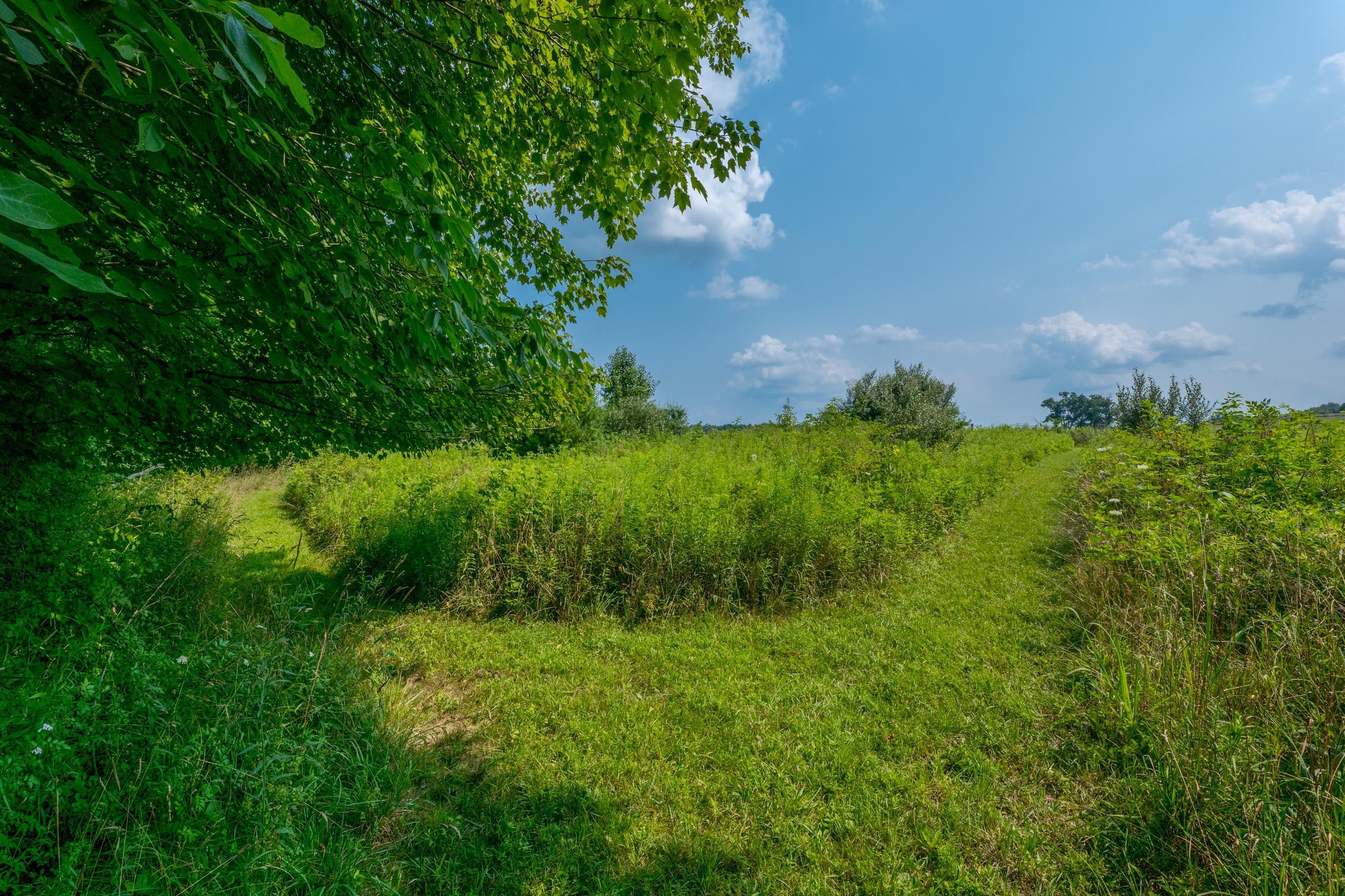 20790 Berry Road Mount Vernon, OH 43050 - Photo 93 of 126 Gallery Image 93