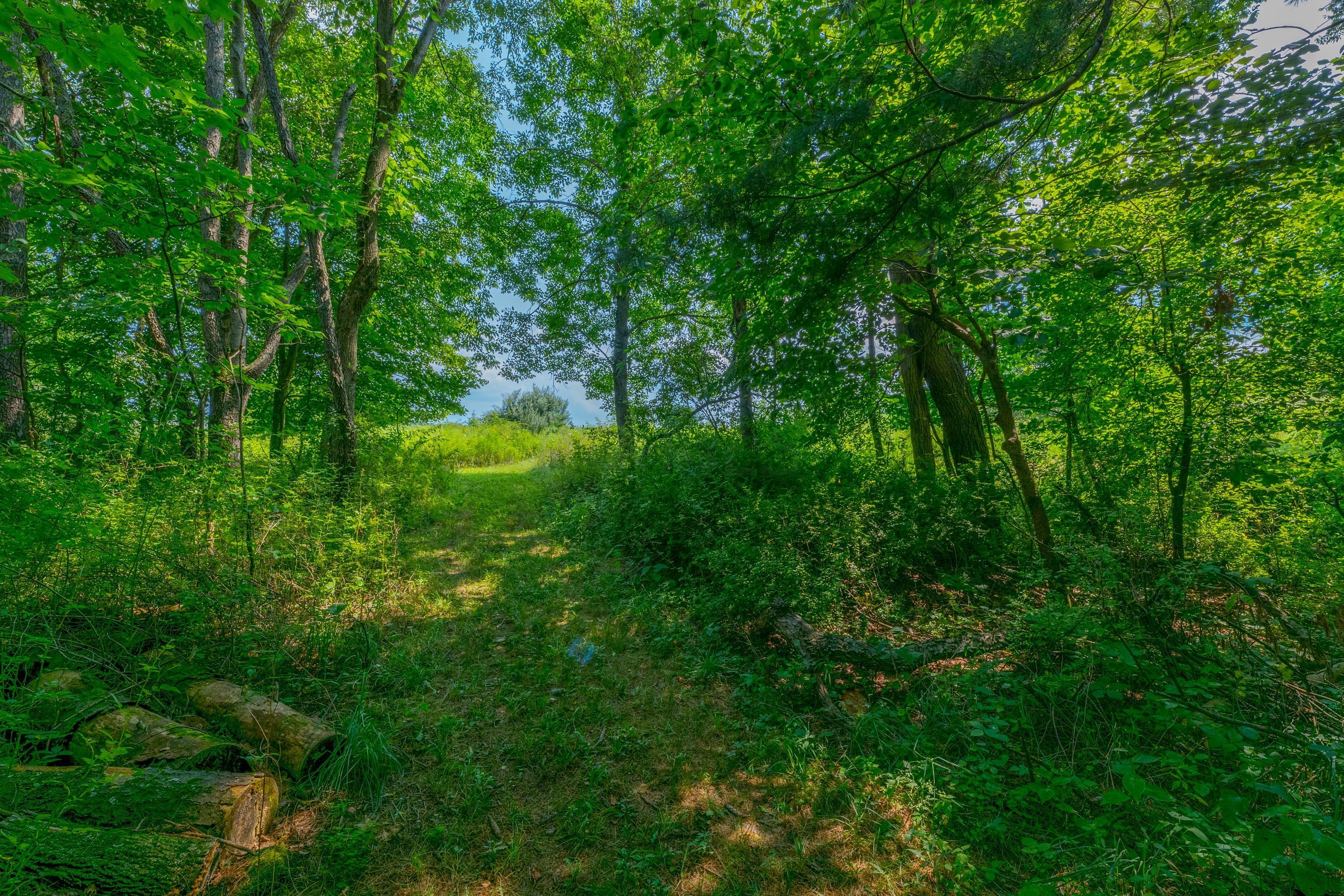 20790 Berry Road Mount Vernon, OH 43050 - Photo 95 of 126 Gallery Image 95
