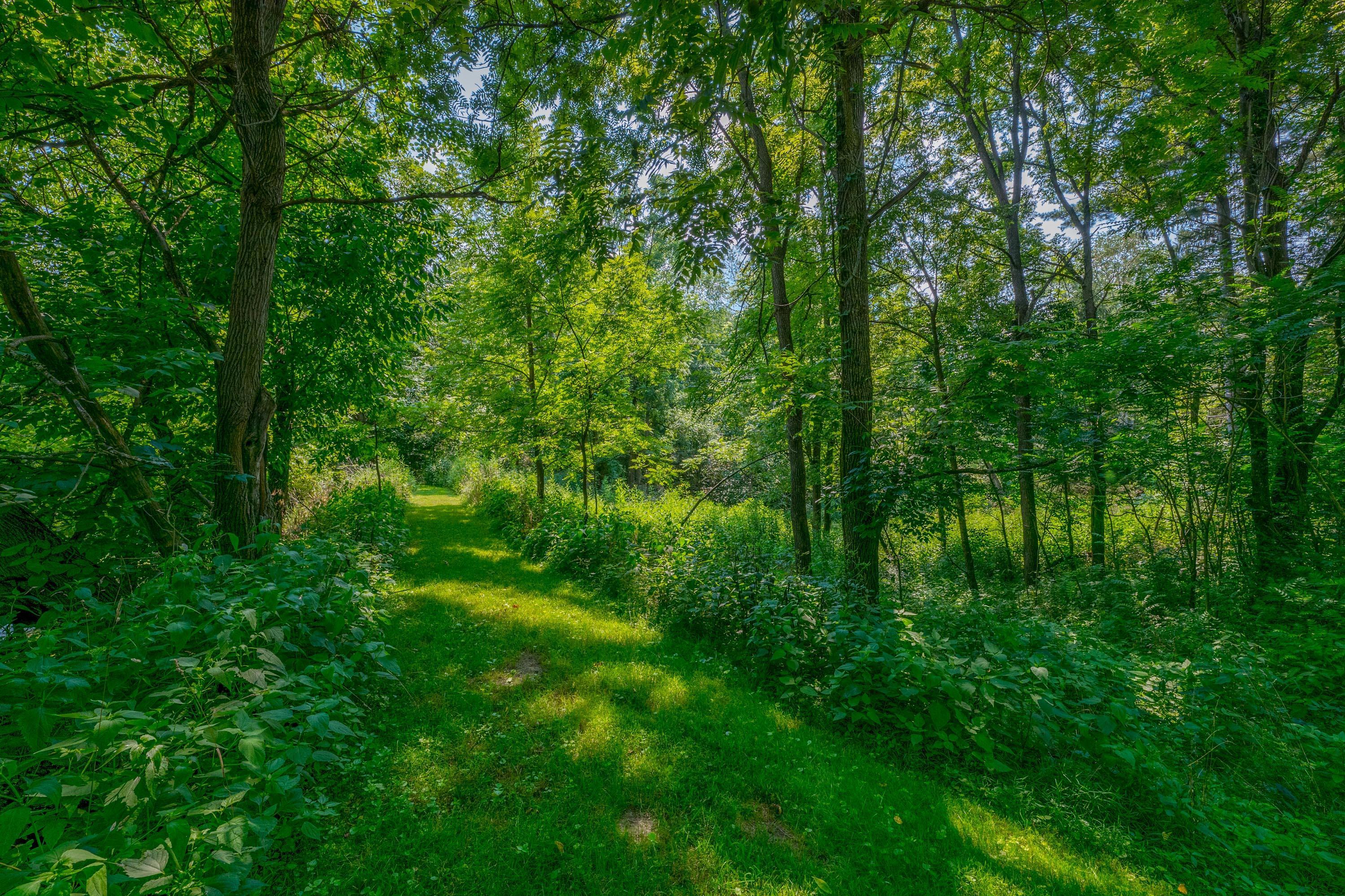 20790 Berry Road Mount Vernon, OH 43050 - Photo 97 of 126 Gallery Image 97