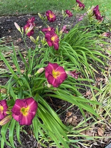 $565,000 | 2915 Brookwater Drive, Cumming, GA 30041