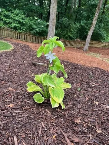 $565,000 | 2915 Brookwater Drive, Cumming, GA 30041