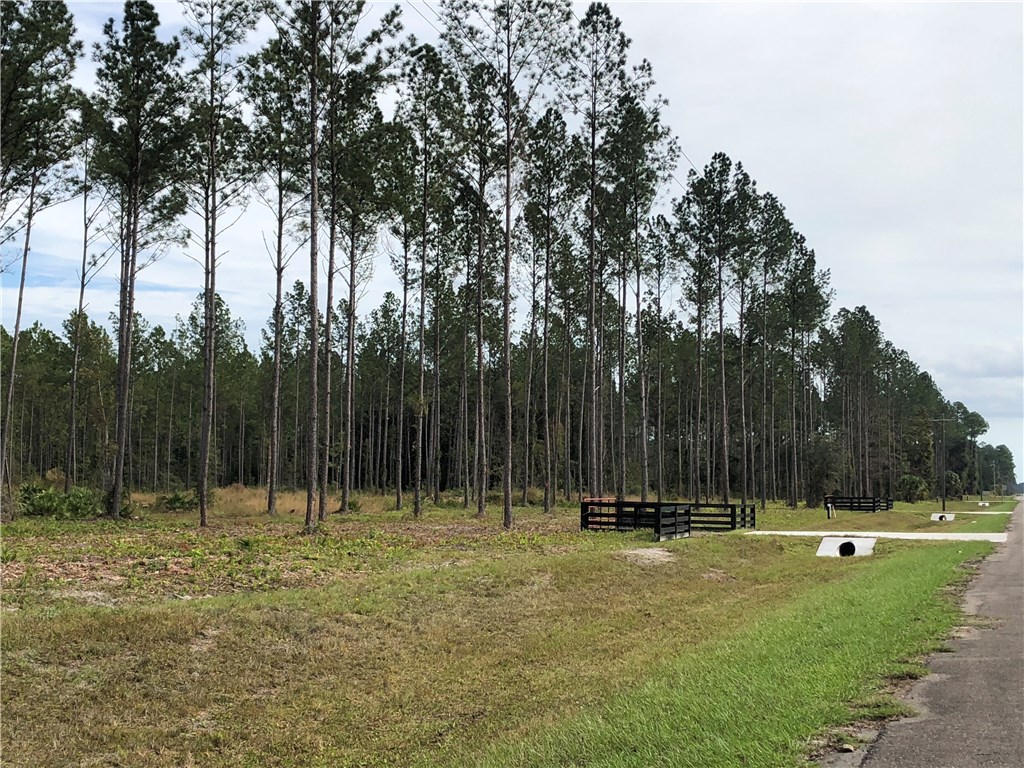 Lot 10 County Road Hilliard, FL 32046 - Photo 11 of 16 a view of outdoor space with trees