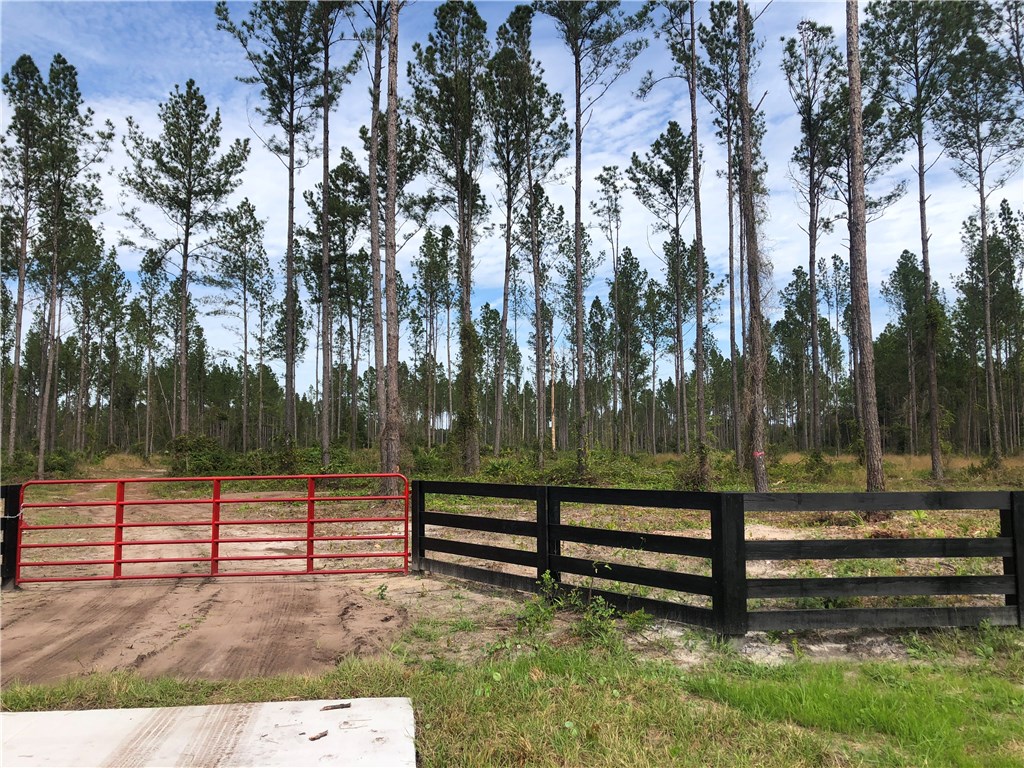 Lot 10 County Road Hilliard, FL 32046 - Photo 15 of 16 a view of park with trees