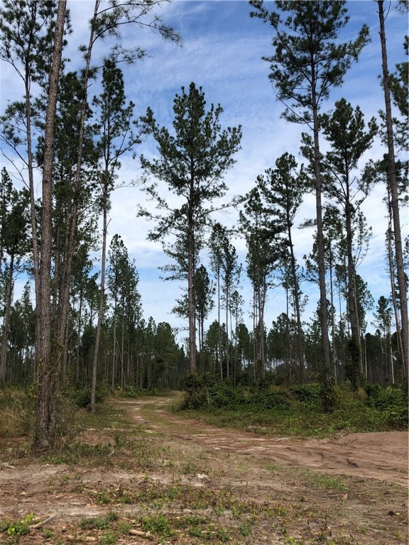 Lot 10 County Road Hilliard, FL 32046 - Photo 16 of 16 a view of a field with trees in the background