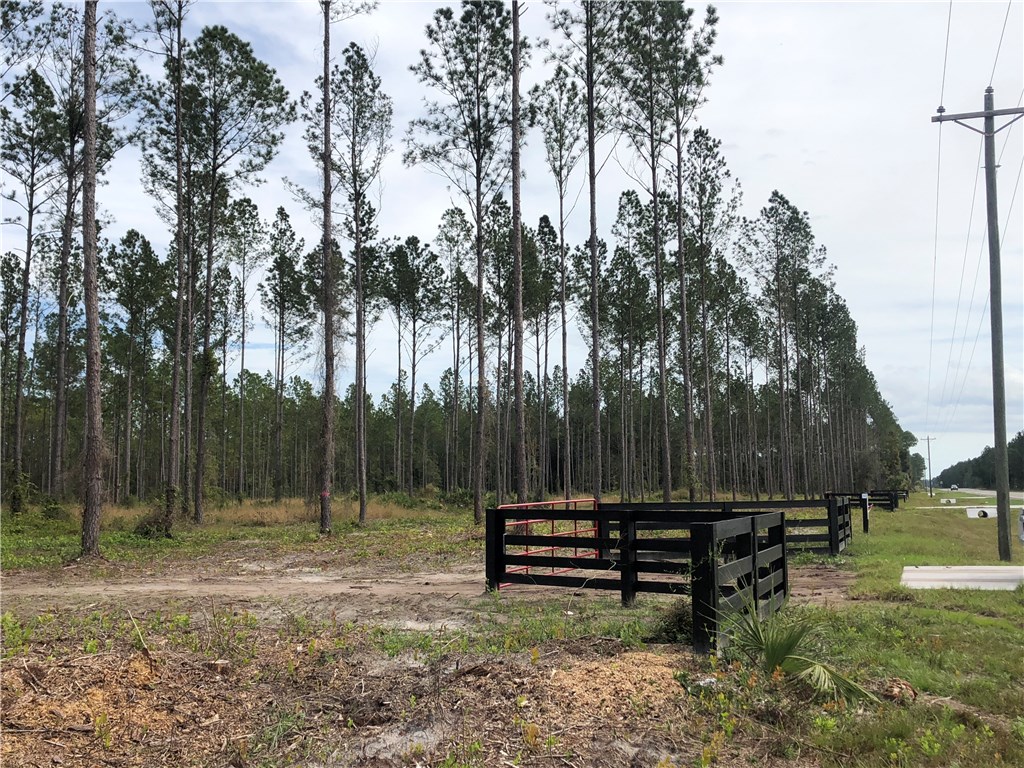 Lot 10 County Road Hilliard, FL 32046 - Photo 6 of 16 a view of a bench in a yard